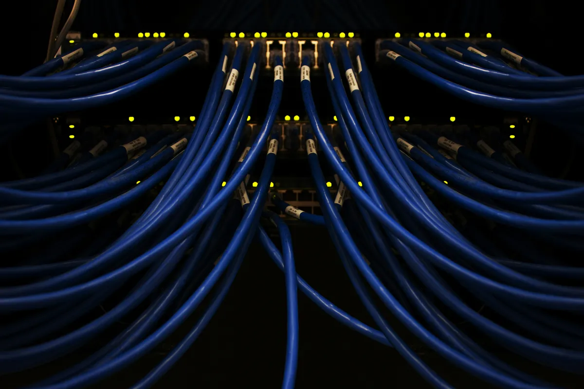 Rows of blue network cables plugged neatly into a data-center switch