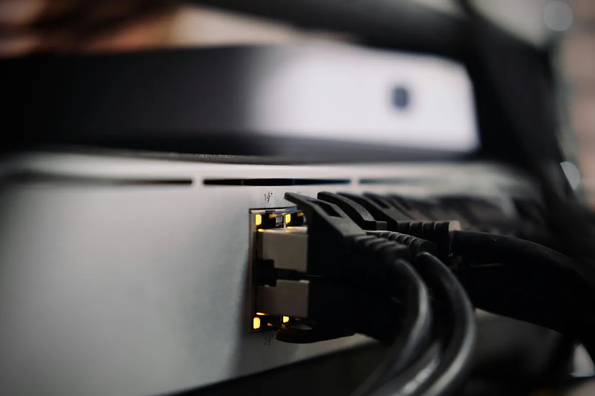 Patch cables plugged into the back of a network switch