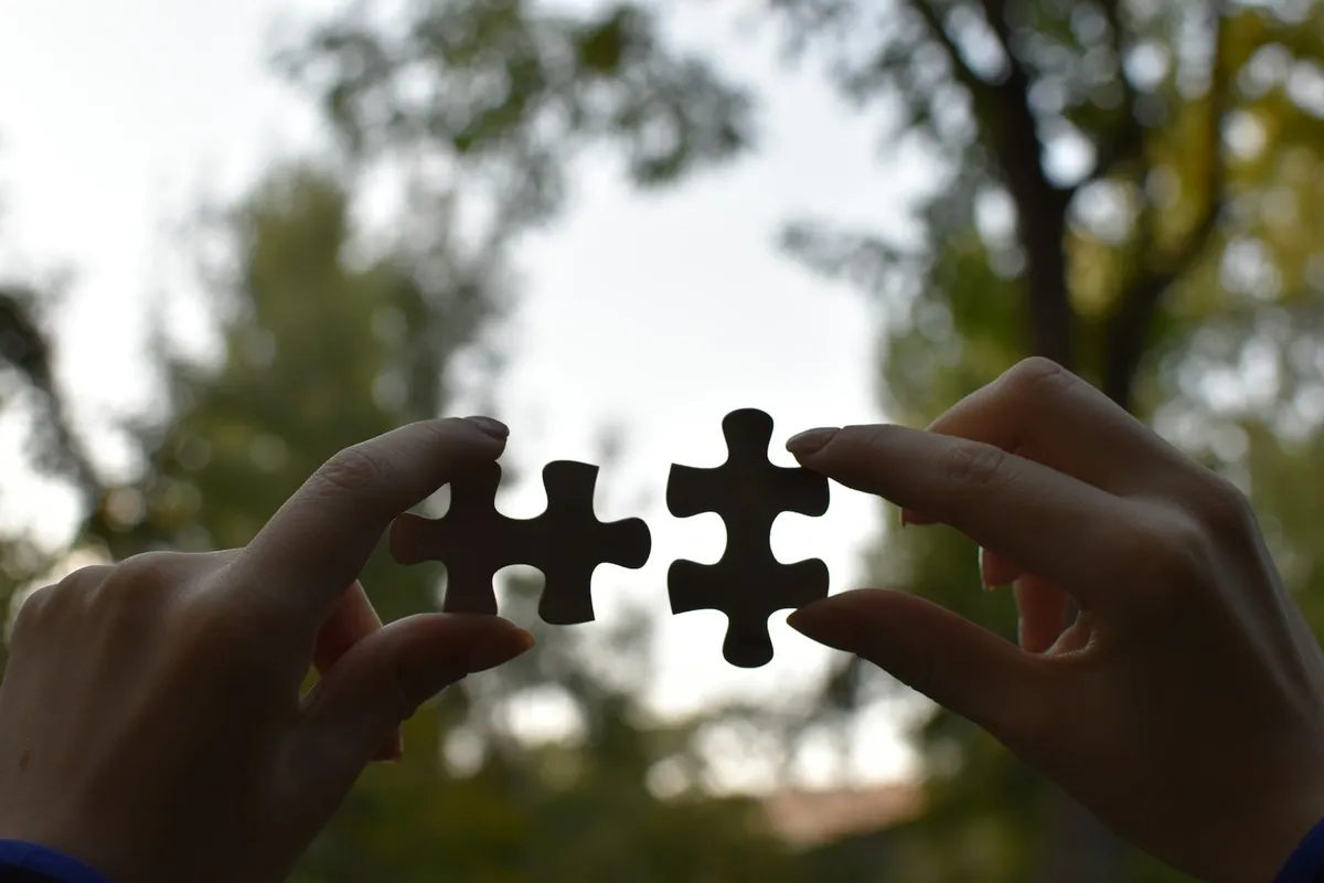 Hands holding two puzzle pieces in front of trees